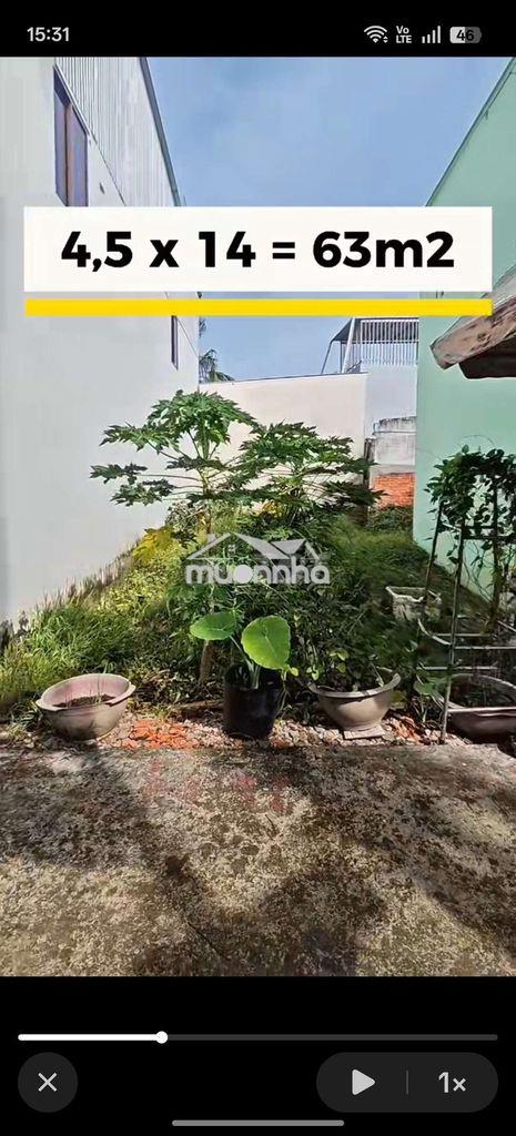Đất công chứng vi bằng  - Ảnh 2