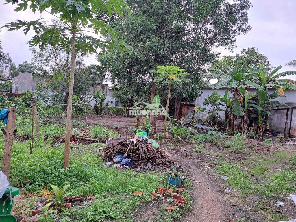 Bán đất long phước, tp.đồng nai: 453,7m2 có 100m thổ cư - Ảnh 3