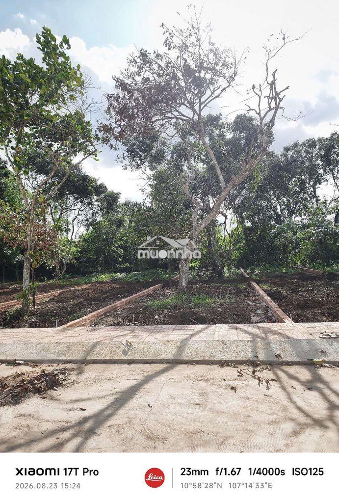 Đất nền p. bình lộc đường bê tông rộng 16m với 135m2 thổ cư sổ riêng - 4