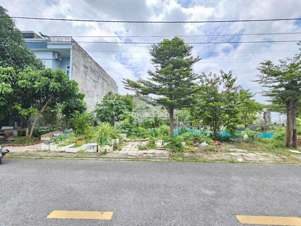Đất 110m kdc đất mới, gần ngã tư chiêu liêu, phường tân bình, tp dĩ an - Ảnh 2