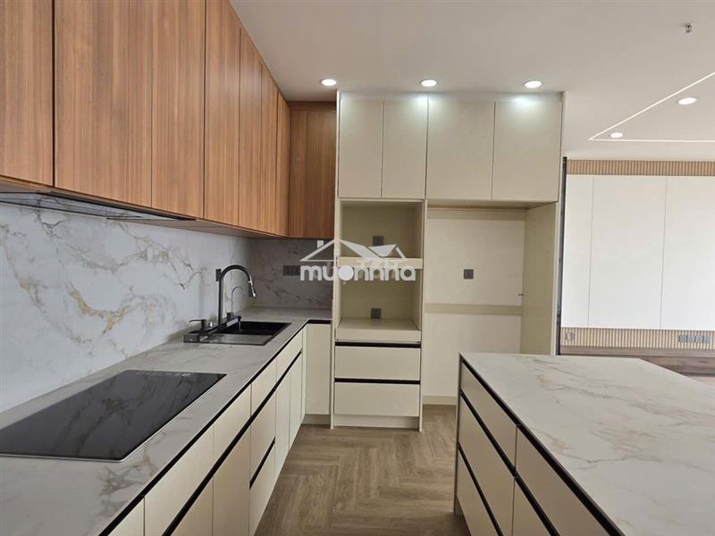 Cho thuê penthouse chung cư c-skyview 1pn 1wc 135m2 full nội thất