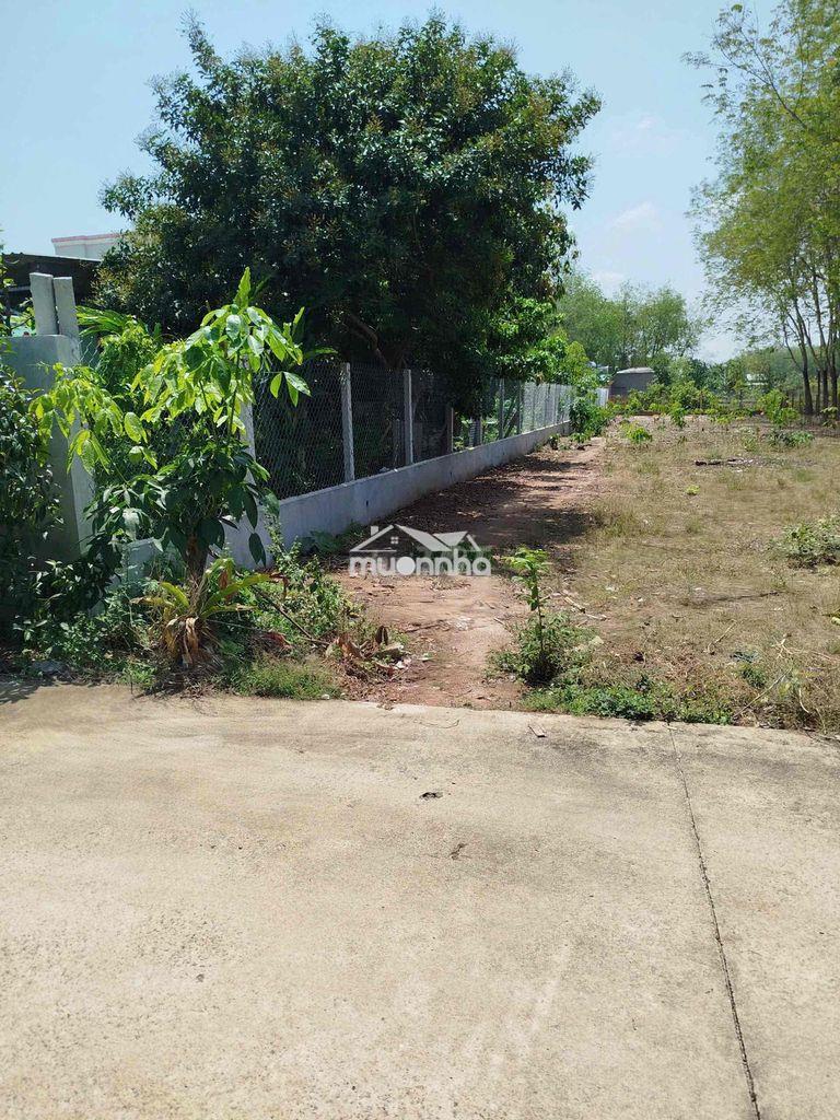 Bán gấp lô đất vườn 1073m2 giá 380tr ngay ubnd an linh - Ảnh 2
