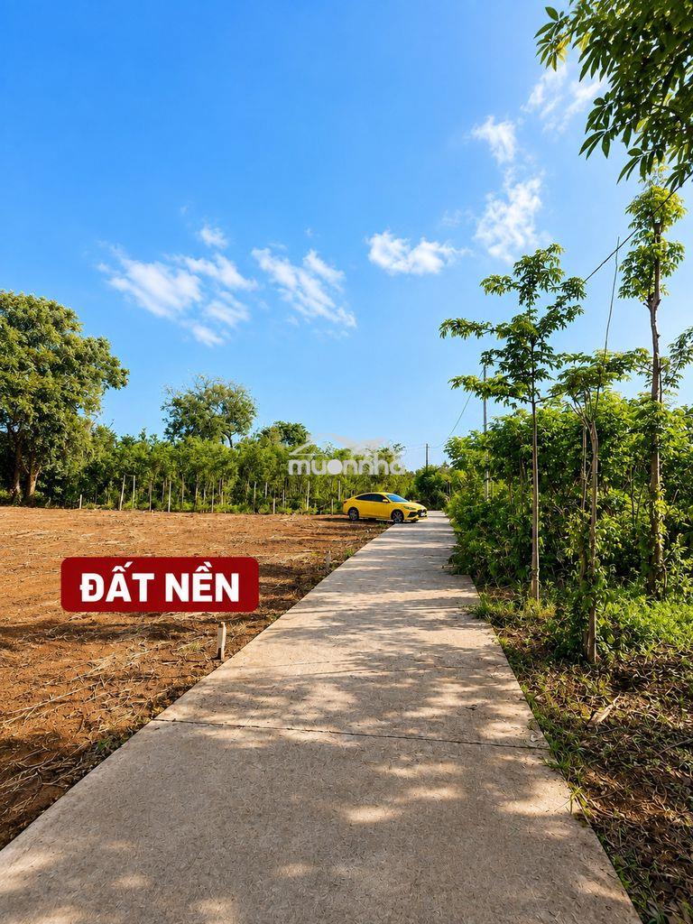 Đất thổ cư ngang 5,5 - 80m² tc - giá 350 triệu - 4