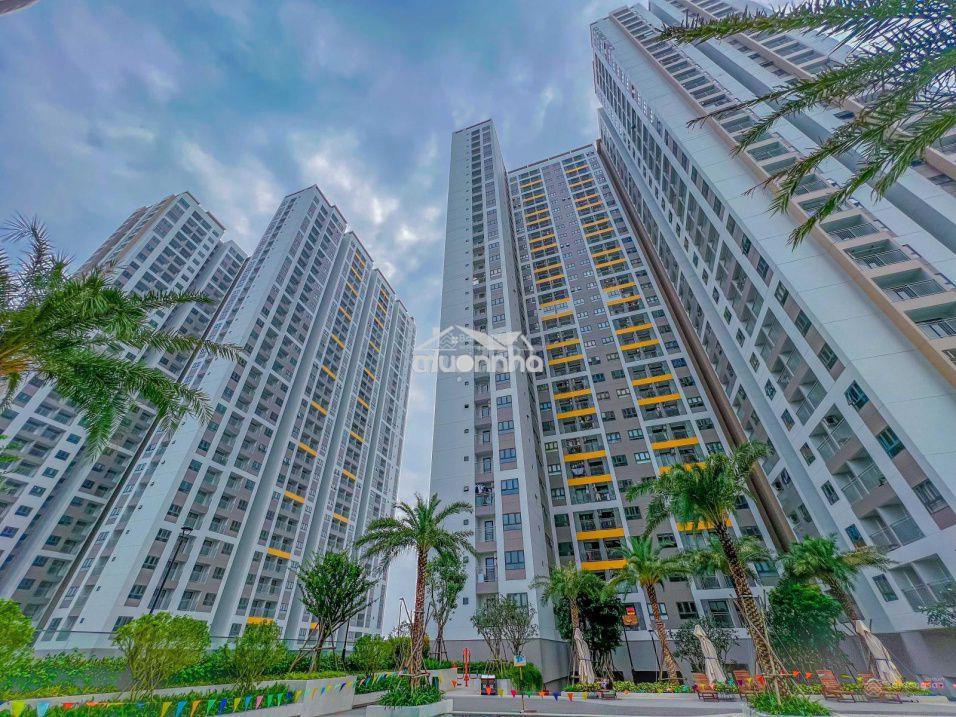 Cho thuê căn 1-2-3pn q7 saigon riverside 4 đào trí nhiều căn lựa chọn - Ảnh 4