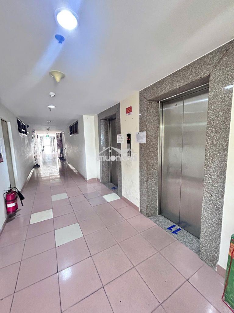 Cc bông sao a p5q8 48,6m2 shr lâu dài thang máy hỗ trợ nh 🌹hhmg 30tr 🌹 - Ảnh 2
