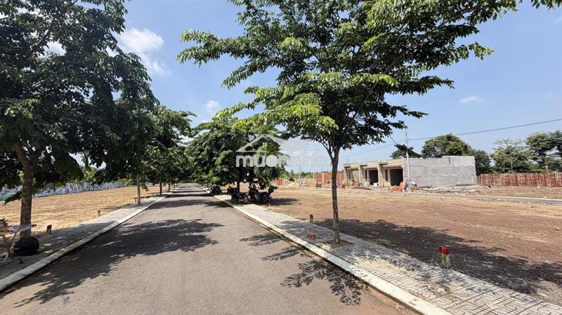 Săn đất trảng bom giá f0, cơ hội x2 x3 trong tầm tay sổ sẳn, công ch..