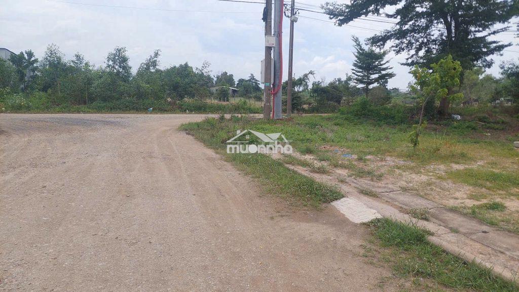 Đất 100m2 ngay trục đường lớn giá còn tl - 3