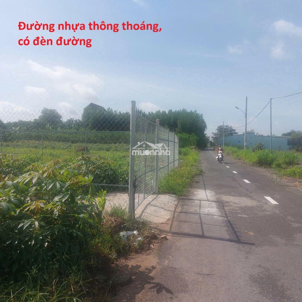 Bán đất an viễn (trảng bom) gần khu công nghiệp, nhà thờ - 3