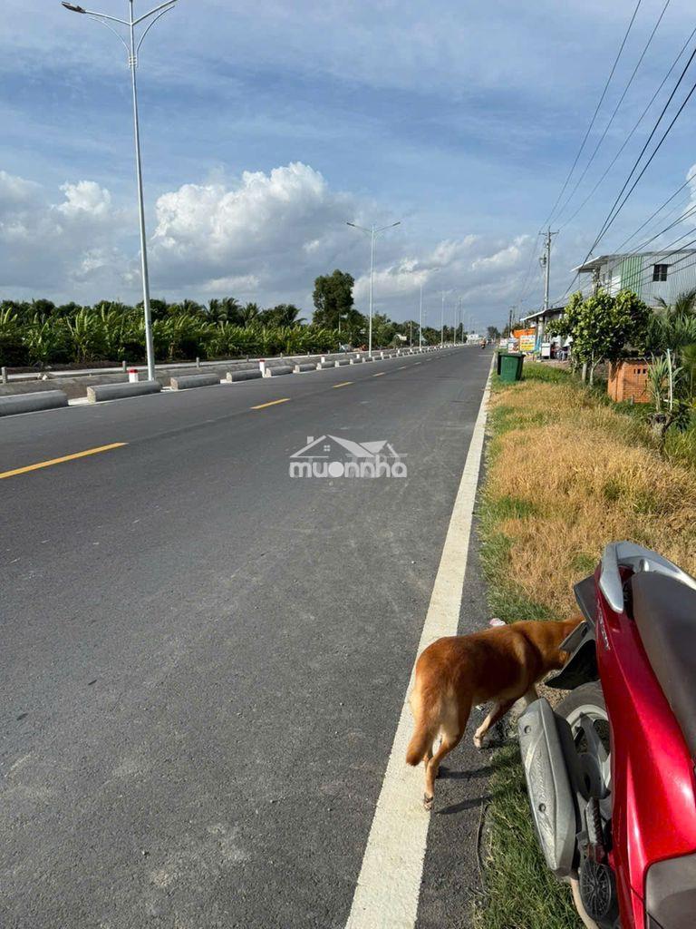 Chính chủ cần bán 957,6m² đất tại mang thít – vĩnh long | giá 2,3 tỷ - Ảnh 4