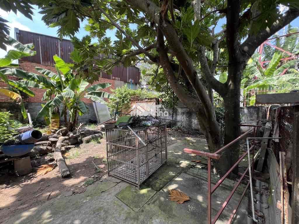 Bán nhà và đất - Ảnh 2