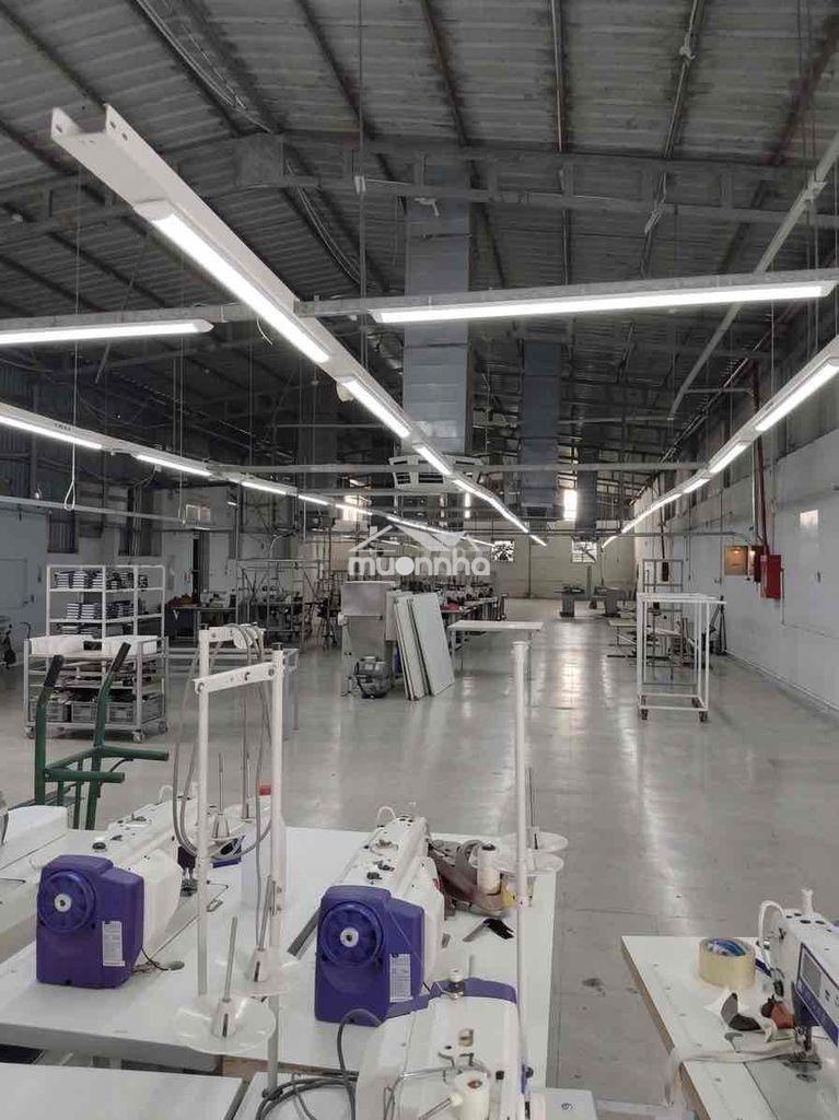 Cho thuê xưởng 1000m. đường hlộ 80. đông thạnh. hóc môn - Ảnh 2
