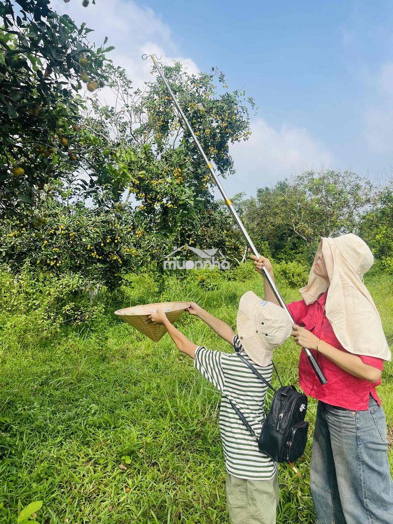 Bán 1000m2 giáp suối-sát dự án thung lũng xanh-cách mekong resort 1km- - Ảnh 4