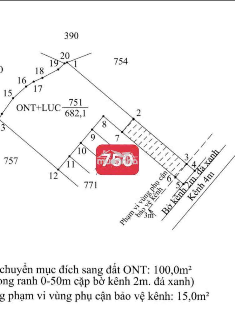 Xây nhà vườn quá đẹp - 2