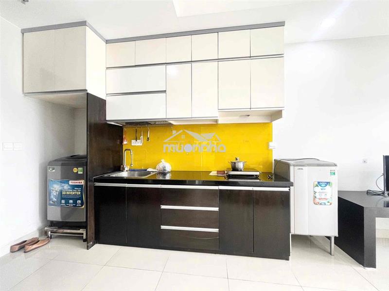 Cho thuê căn hộ studio chung cư cao cấp botanica premier - chủ đầu t