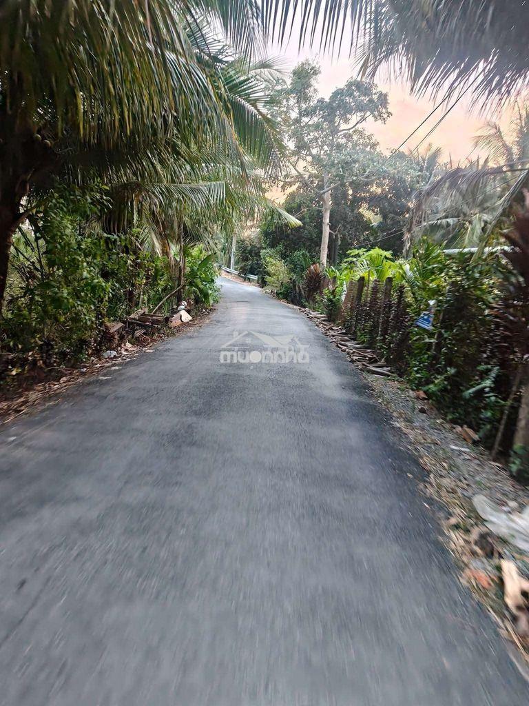 🔥 Đất cai lậy 500m² (10x50) – 100m² thổ cư – mặt nhựa, giá 1,5 tỷ