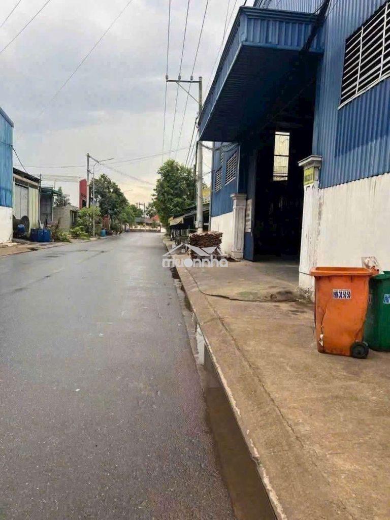 Cho thuê xưởng tân uyên bình dương - Ảnh 3
