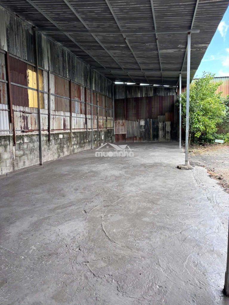 Cho thuê 500m có kho tôn 170m. đường liên ấp 26 vĩnh lộc a bình chánh  - 2