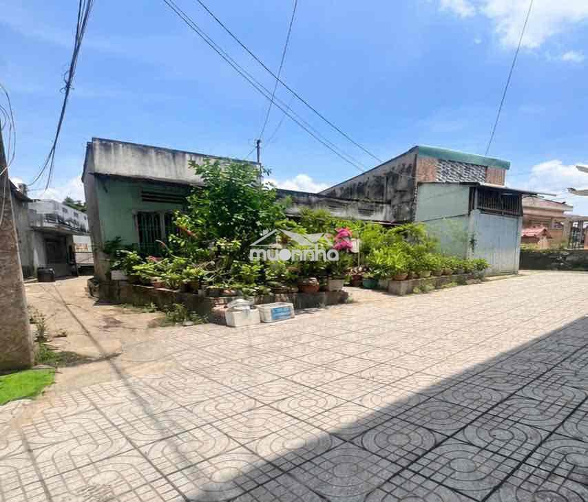 Đất 60m2 đối diện kdl bửu long thổ cư sổ riêng 1,55 tỷ hẻm 2,7m thoáng - Ảnh 4