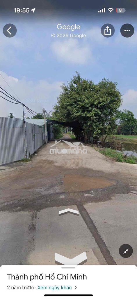 Bán 506m đất mặt tiền nhị bình 4 - Ảnh 3