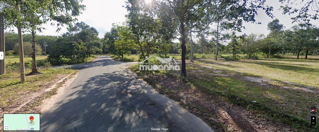 🔥 Đất 231,2m² – đất ở lâu dài | giá 3,77 tỷ - Ảnh 4