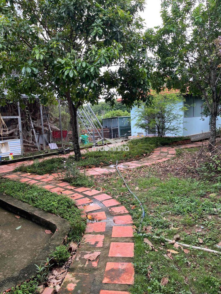 Nhà vườn 2 mặt tiền tâm huyết. - Ảnh 2