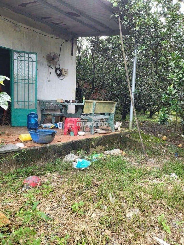 Cần bán đất vườn