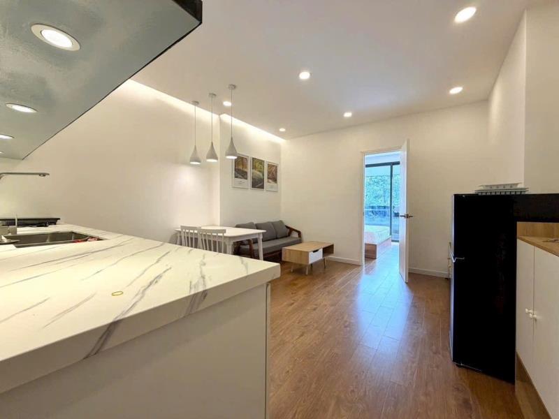 🏡 Cho thuê căn hộ 1pn cao cấp – bạch đằng, tân bình | gần sân bay - Ảnh 3