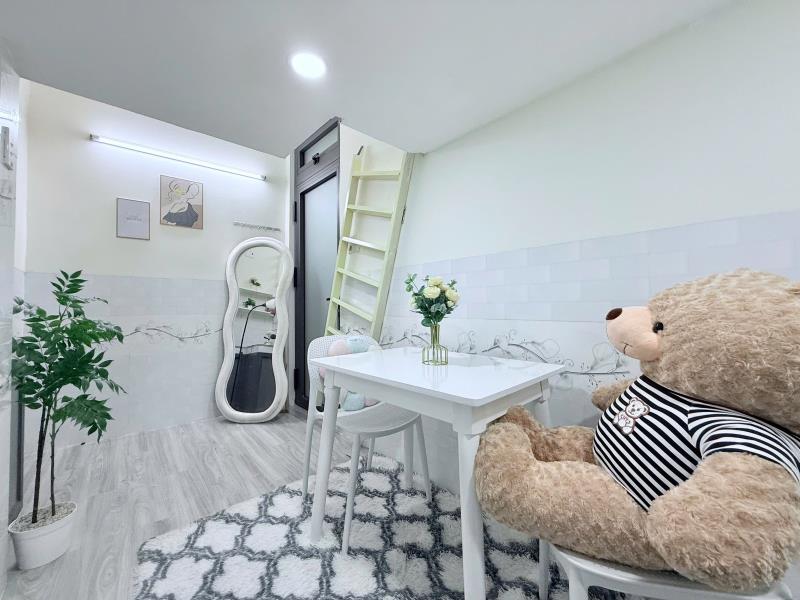 Duplex tô hiệu - tân phú, gần đại học hồng bàng 3, đại học công thương, đại học văn hiến - gần trục đường hoà bình, luỹ bán bích - công viên văn hoá đầm sen - Ảnh 2
