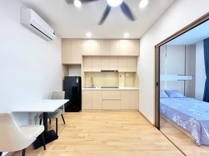 Cho thuê căn hộ 1pn ban công – bùi đình túy- thuận tiện đi q1, phú nhuận, gò vấp - Ảnh 4