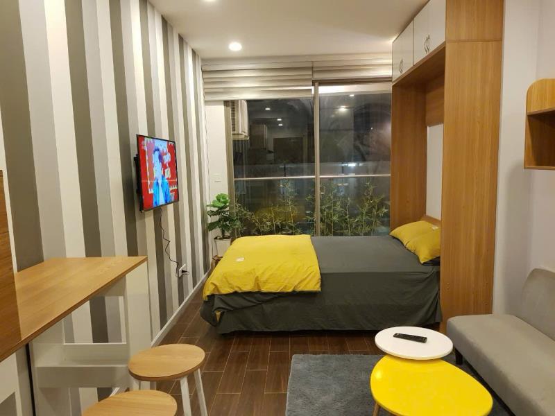 Cho thuê căn hộ studio tại chung cư millennium bến vân đồn q4 - Ảnh 4