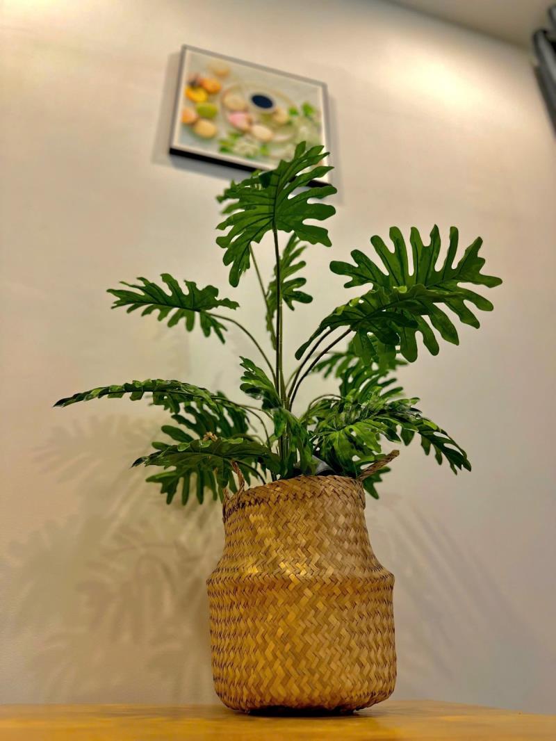 Cho thuê căn hộ siêu chill tại quận 4 gần chợ - Ảnh 3