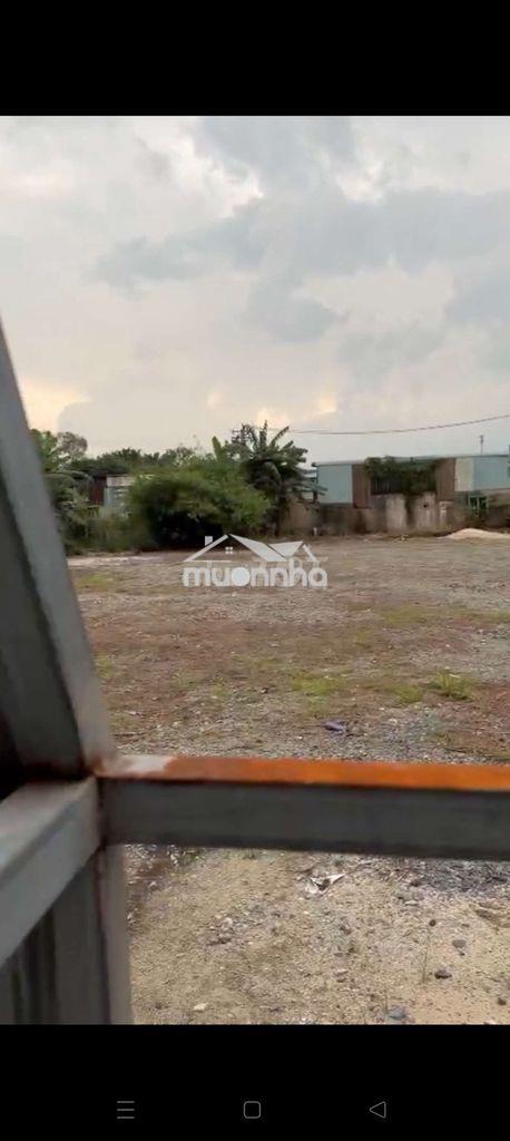Cho thuê đất công 1299m có nhà ở + đường kênh trung ương vĩnh lộc b - Ảnh 2