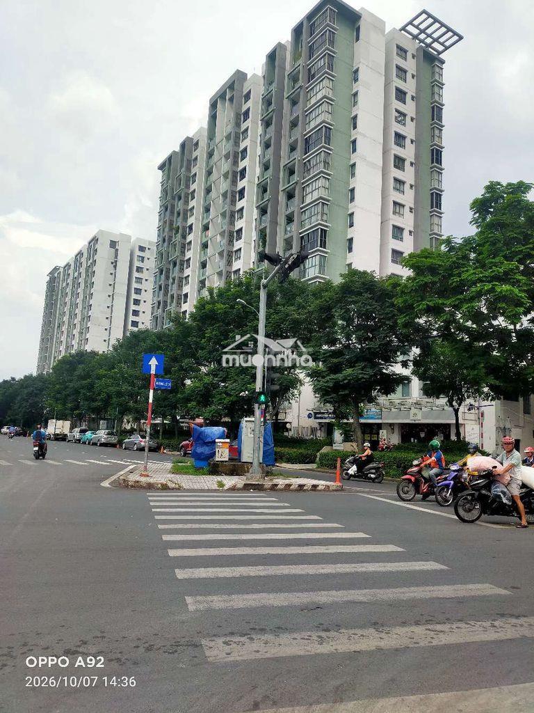 Nhà ngay đưóng số 5 kế aeon tân phú  71m.  5tần có thang máy  500kg - Ảnh 3