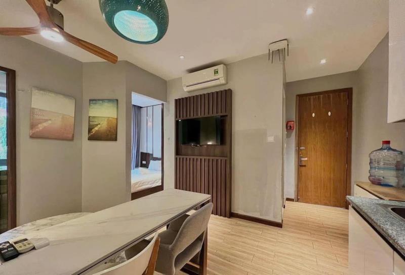 🔥Căn hộ 1pn luxury – full nội thất | lý thường kiệt, tân bình🔥 - Ảnh 2