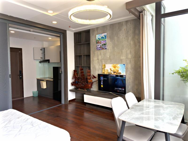 Cho thuê căn hộ tân bình gần sân bay tân sơn nhất - studio/1pn hiện đại - Ảnh 3