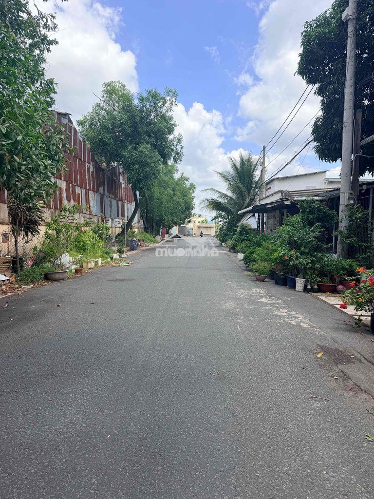 820tr sở hữu nhà cấp 4 , ngay cạnh chợ việt kiều ,tân thông hội củ chi - Ảnh 4