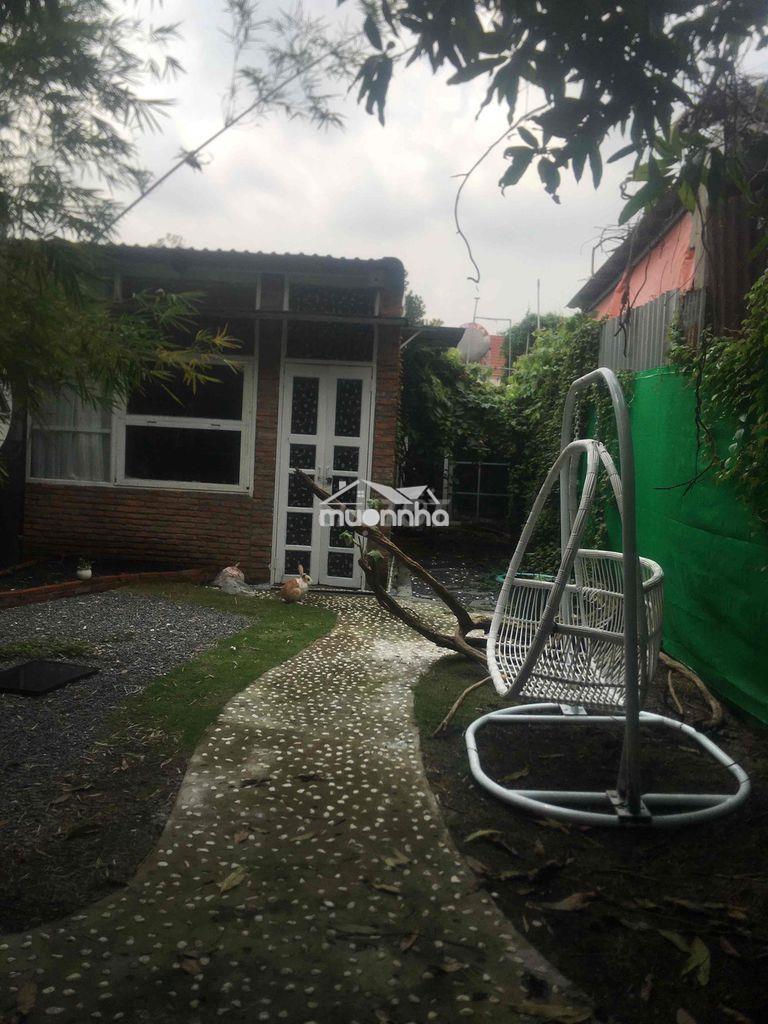 Cho thuê nhà nguyên căn hẻm 480/31 bình quới