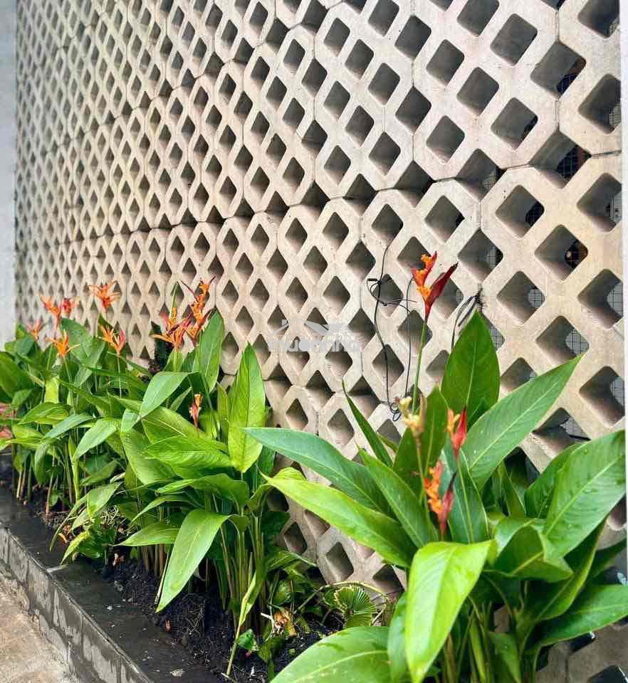 Nguyễn văn trỗi 80m2 ngang lớn 6.2m chỉ 11tỷ9 - Ảnh 2
