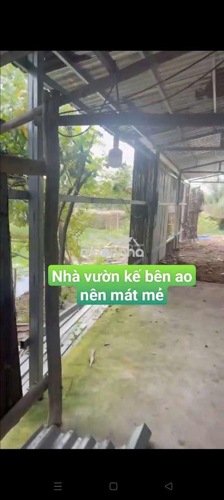 Nhà vườn 400m nhà + điện 3 pha đường kênh trung ương vĩnh lộc bv - Ảnh 4